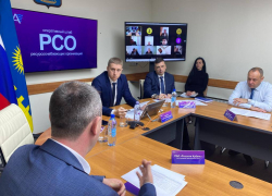 Яма на улице Омелькова и аварийное дерево: на что анапчане пожаловались коммунальщикам