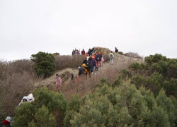 В Анапе туристический маршрут «Мы – семья! Мы – Россия!» набирает популярность