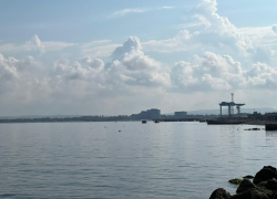 Во Всемирный день льва в Анапе возможен дождь