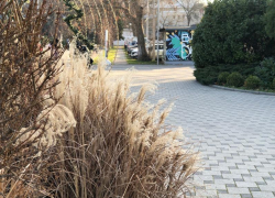 Во Всемирный день безработных в Анапе тепло и дождливо