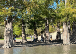 Анапчан приглашают принять участие во Всероссийском конкурсе «Родные просторы»