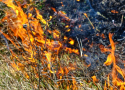 Внимание – опасно: в Анапе действует режим высокой пожароопасности