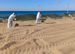 Выбросы мазута сокращаются 