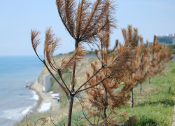 В Международный день мотоциклиста в Анапе ожидается дождь с грозой