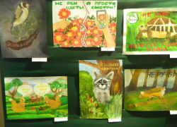 В визит-центре «Утриш» в Анапе представили работы участников акции «Марш парков»