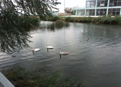 В День осенних миражей в Анапе возможны небольшие дожди