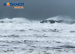 Во Всемирный день домашних животных в Анапе ветер утихнет