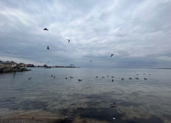 В День смеха в Анапе пасмурно