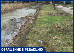 «Никаких результатов»: анапчанка о бездействии служб в уборке территории у реки «Можепсин» 