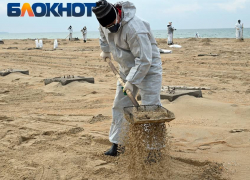 В бухте поселка Витязево концентрация нефтепродуктов превышает фон в 13 раз