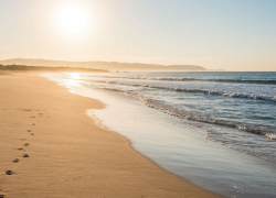 Мазут на дне Черного моря: угрожают ли новые выбросы Анапе и туристам летом-2026?