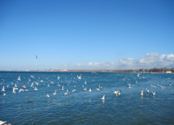 В День посиделок при свечах в Анапе ветер успокоится