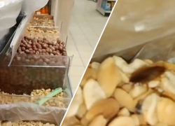 «Арахис с белком»: в анапском магните обнаружены тараканы 