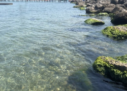 Сказочно манящая: даже на Центральном пляже Анапы чистая вода