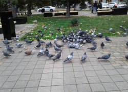 В День рождения микроволновой печи в Анапе чуточку потеплеет