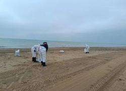 В Анапе экстренно очистили пляжи от нового мазута