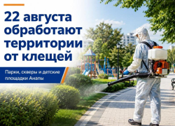 22 августа в Анапе обработают парки, скверы и детские площадки от клещей: полный список адресов