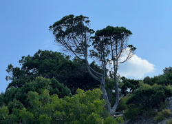 В день российского кино в Анапе солнечно