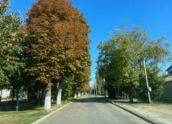 Во Всероссийский день лицеиста в Анапе будет солнечно