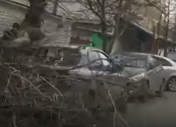 Почти анапский торнадо просвистал над городом: штормовой ветер повалил дерево на автомобиль