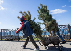 Капремонт домов и благоустройство парков: в Анапе улучшат общественные пространства