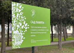 Анапа присоединяется к акции «Сад памяти»