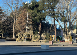 В день абрикоса в Анапе ясно и морозно