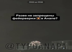 В Анапе ищут запустивших фейерверки во время пожара на плавнях