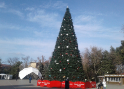 На Театральной площади Анапы установили и украсили главную городскую ёлку