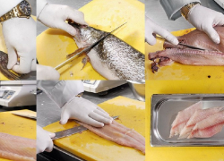 Росприроднадзор взыскивает более 13 млн рублей с анапской компании