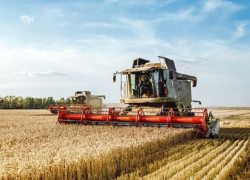 Уборка зерновых в хозяйствах Анапы завершена наполовину