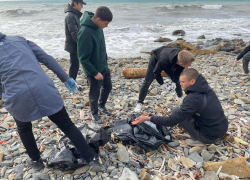 «Час чистоты» в Анапе собрал десятки неравнодушных горожан