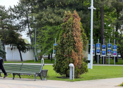 В День любви к природе в Анапе станет немного теплее