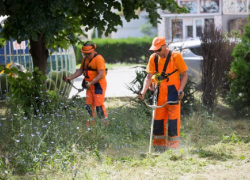 На уход за газонами на кладбищах Анапы выделили более 1,5 млн рублей