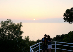 Гороскоп для анапчан с 30 октября по 5 ноября: Львы будут успешны в работе  