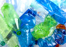 В Краснодарский крае планируют убрать из обихода пластиковую посуду 