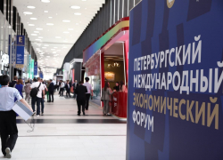 В Анапе появятся 2 новые винодельни: уже созданы проекты 