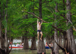 "Дикари": отдыхающие портят уникальные кипарисы в Сукко под Анапой