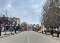 В Анапе в день домашних насекомых пасмурно