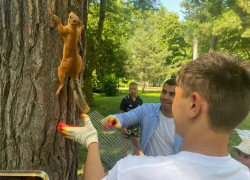 Анапский «белкоград» опять пополнился – заселили новых жителей