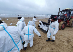 Красный крест направили гуманитарную помощь волонтерам, работающим на побережье Черного моря