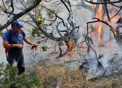 В заповеднике «Утриш» не соблюдают правила противопожарной безопасности – прокуратура