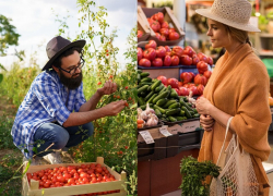 «Выгоднее в Москву везти» – почему импортные продукты в магазинах Анапы сложно заменить фермерскими