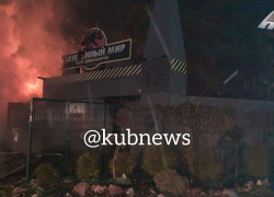 В Анапе в парке "Джунгли" произошел крупный пожар. "Дом вверх дном сгорел полностью"