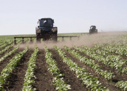 На поддержку села в 2016 году было выделено более 65 миллионов рублей