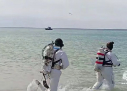 МЧС отчиталось о ликвидации мазута в Черном море 