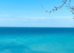 Гороскоп для анапчан с 20 по 26 марта: Близнецам всю эту неделю будет сопутствовать удача