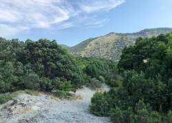 Последний день лета будет в Анапе жарким