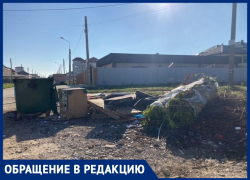 Евгения Царёва возмущена, что в Витязево под Анапой рядом с жилыми домами устроили помойку