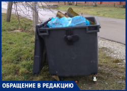 Анапчанин Сергей Сычёв считает, что мусор в Витязево надо вывозить через день